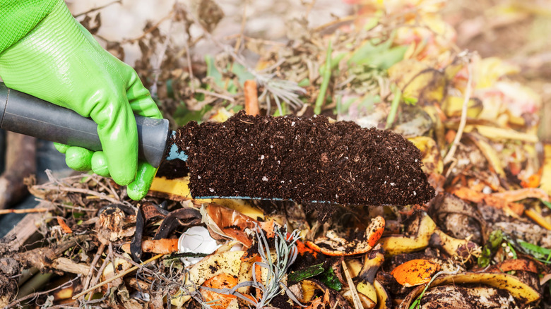 Compost soil mixture