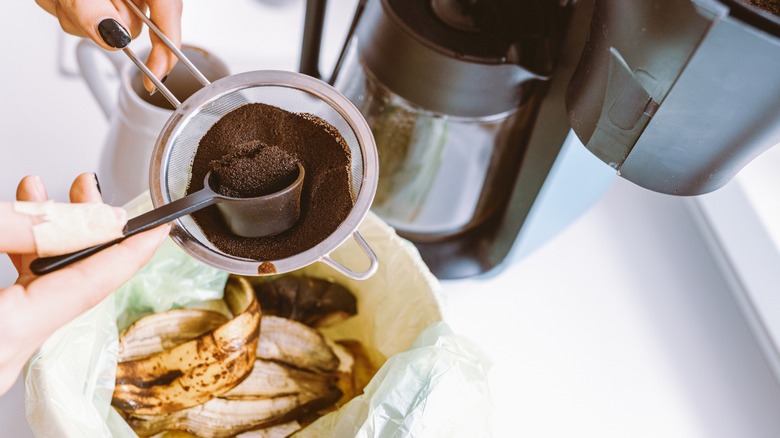 Person putting coffee grounds in the compost bin in their kitchen