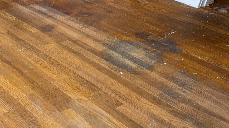 Stained hardwood flooring in house