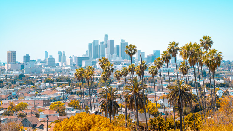 Aerial view of Los Angeles as seen from a hill with lots of palm trees