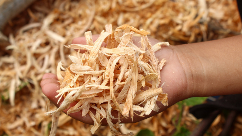 A person grabbind sawdust
