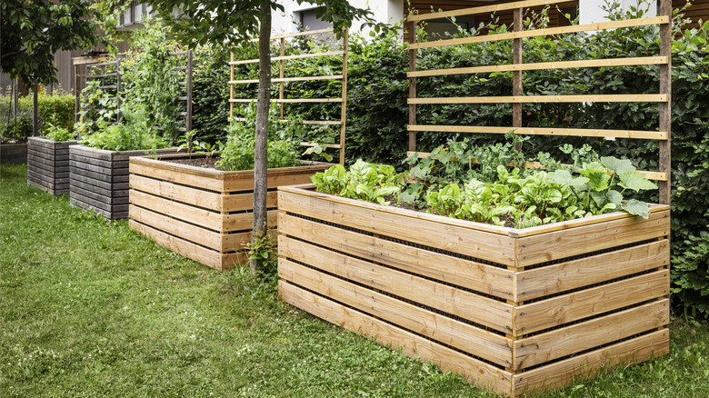 Four raised garden beds
