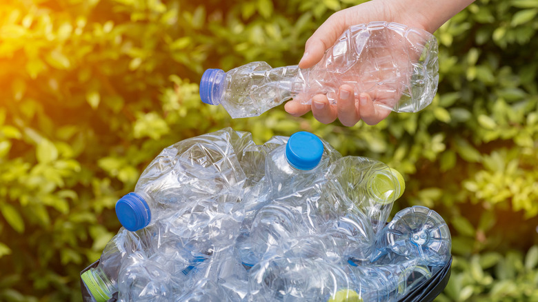 A container with empty plastic water bottles