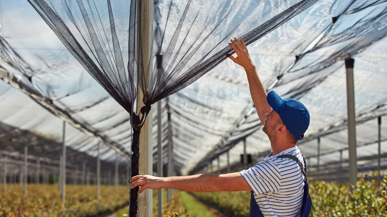 A shade cloth covers a large garden.
