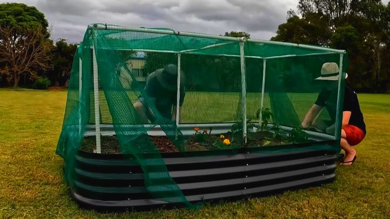 A raised bed is covered with green landscaping fabric.