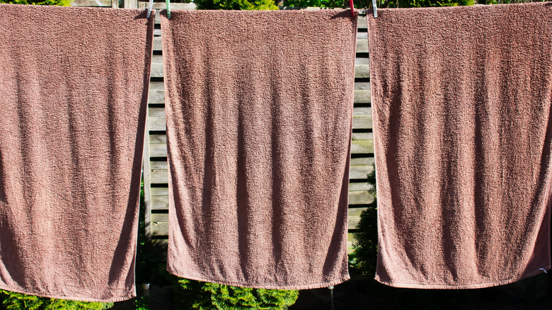 Towels are hung to shade the plants behind them.