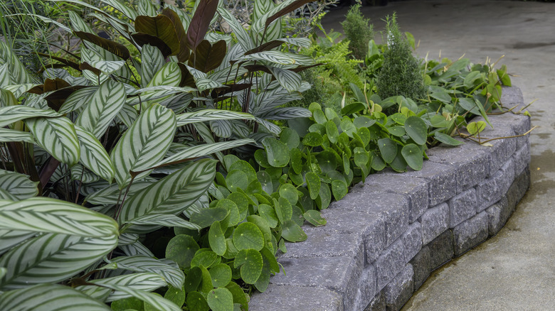 A raised garden bed made of stone.