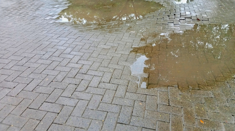 Water puddles on paving