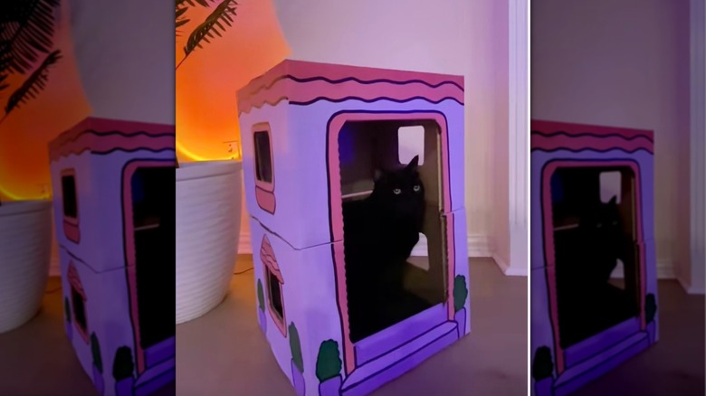 A cat play house made out of repurposed Costco cardboard boxes.