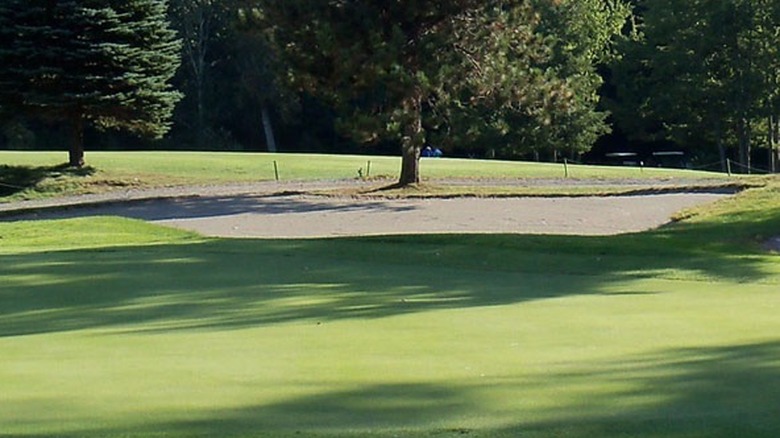 Freshly cut lawn on a golf coarse seeded with Poa supina
