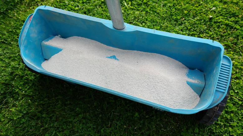 Lime being applied to lawn