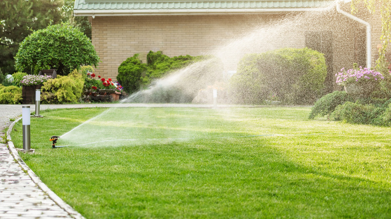Sprinkler watering the lawn