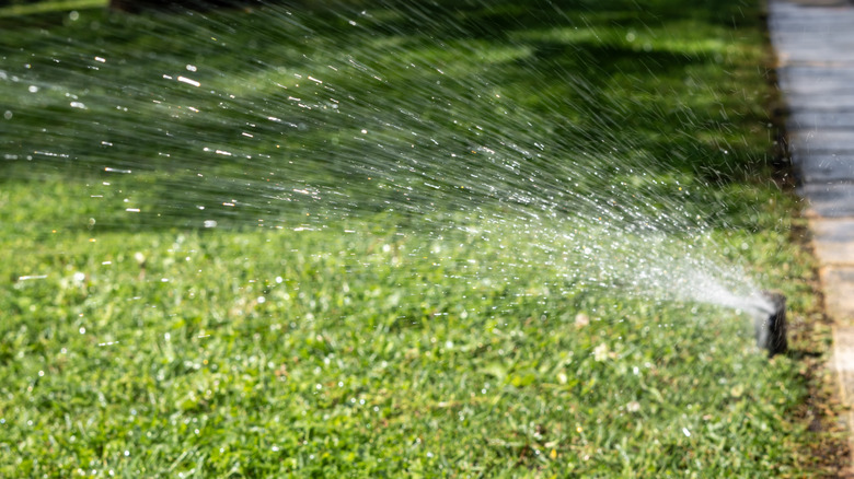 Lawn smart irrigation system