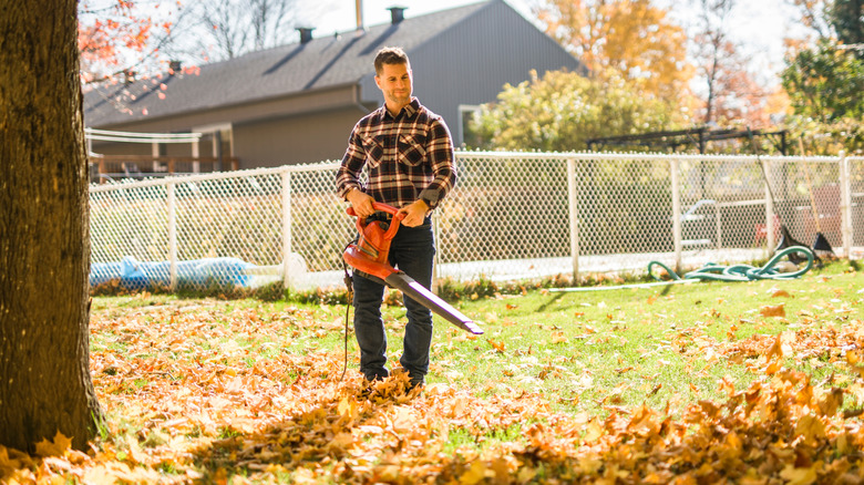 Man using a leaf blower on his lawn