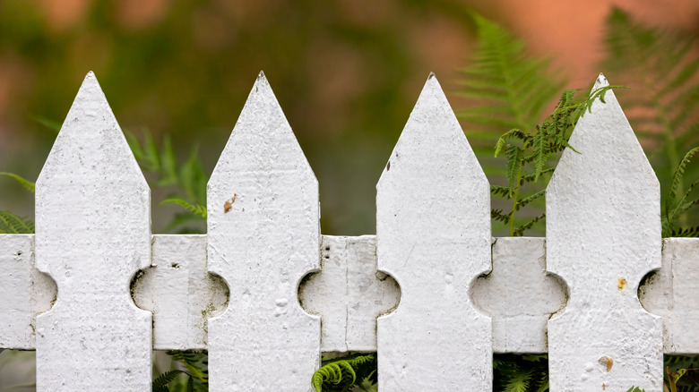 Picture of a white fence with pointed pickets