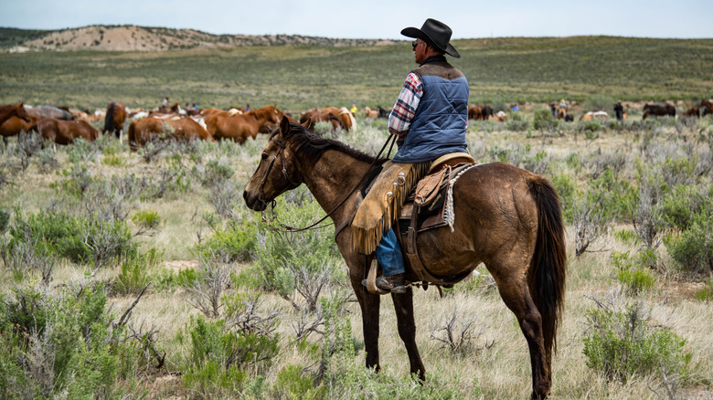 A cowboy sits on his horse on an open plain with a herd of cows in the distance.