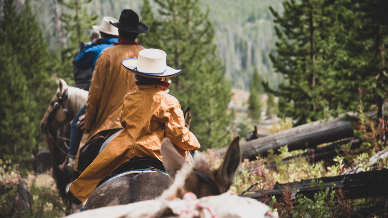Several cowboys in a mountain region wearing hats and waterproof jackets or rain slickers.