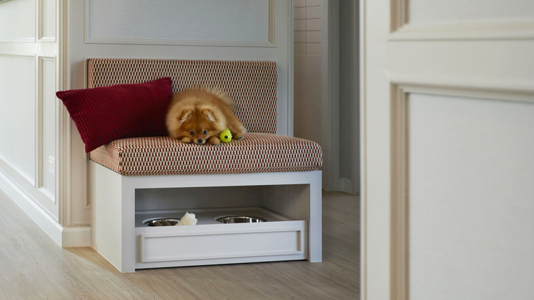 Doggy rests on built-in bed and feeding station.