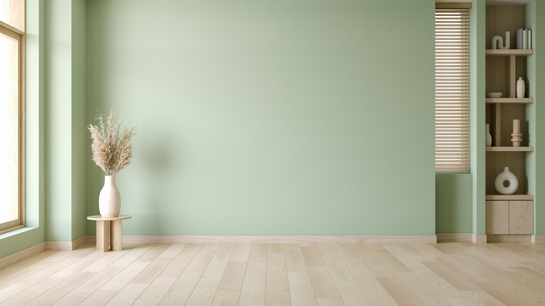 light green wall in an empty room by a window with light wood floors