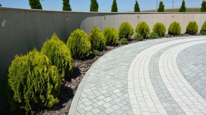 Different colored cobblestones with joints on a driveway.
