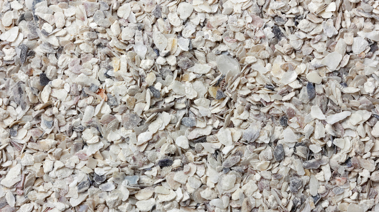 A close up of crushed shells on the ground.