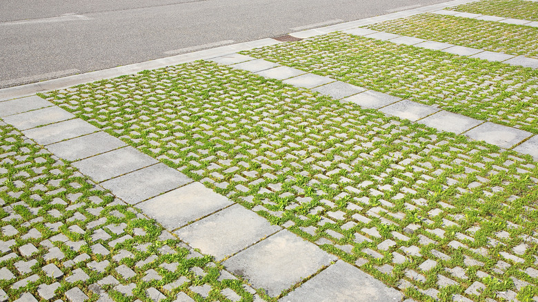 A series of grass paver driveways off of a street.