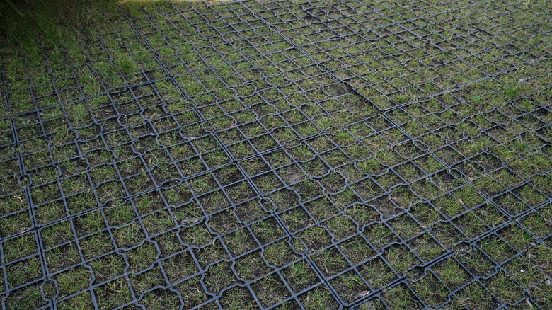 Balding plastic pavers in a driveway.