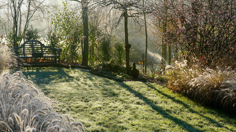 A garden heading into winter.