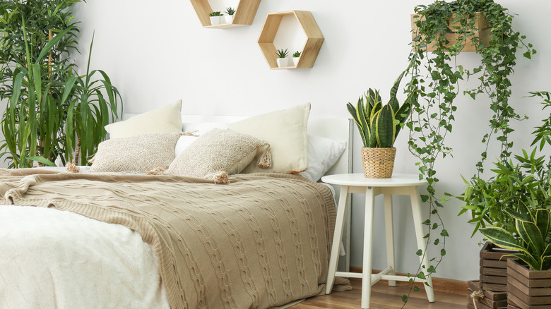 scandi bedroom with houseplants