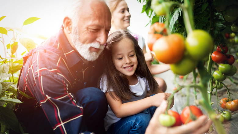 Grandfather and grandchild in garden