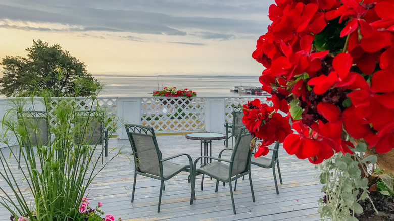 Scenic view with red flowers