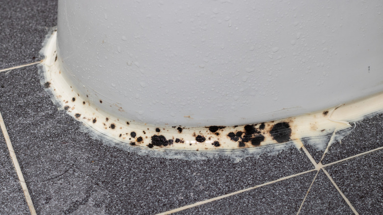Mold or mildew around the base of a toilet
