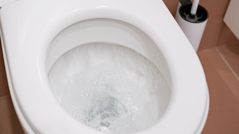 water from a toilet being flushed