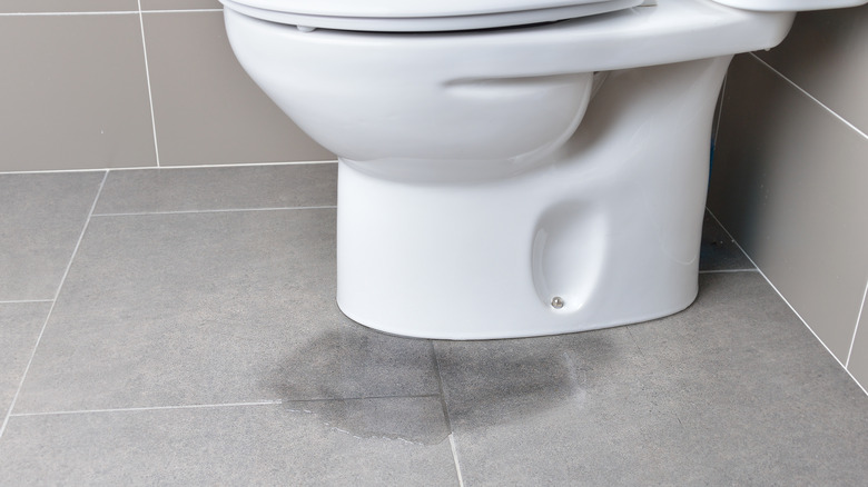 water coming from underneath the base of a toilet