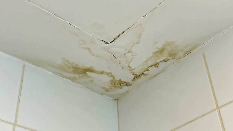 water stains on a ceiling indicate a leak in the room above