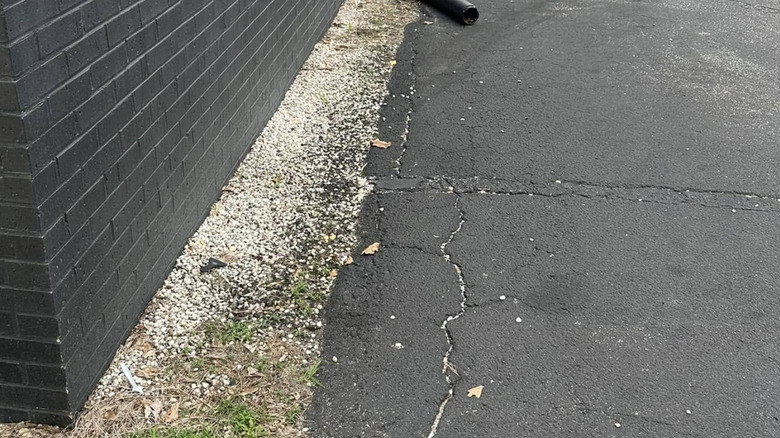 Cracks in asphalt at base of painted brick wall