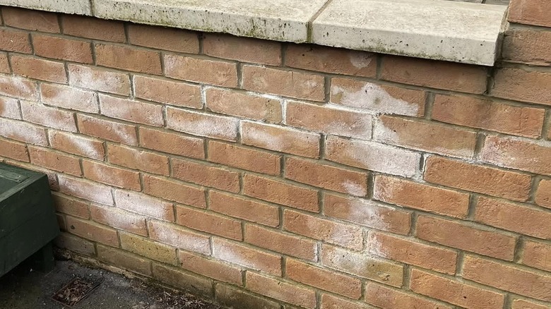 white, chalky stains on a brick retaining wall