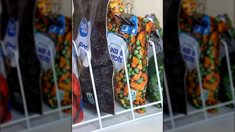 Dish drying rack holding frozen veggies vertically