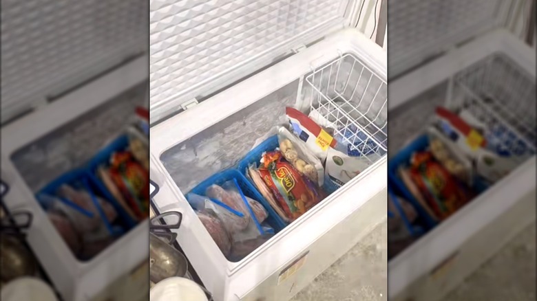 Storage baskets in deep freezer