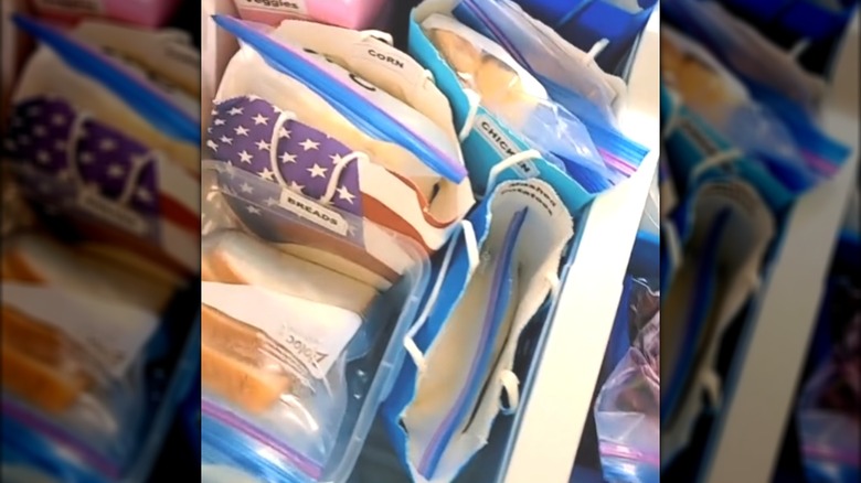 Gift bag storage in freezer organizing different types of food