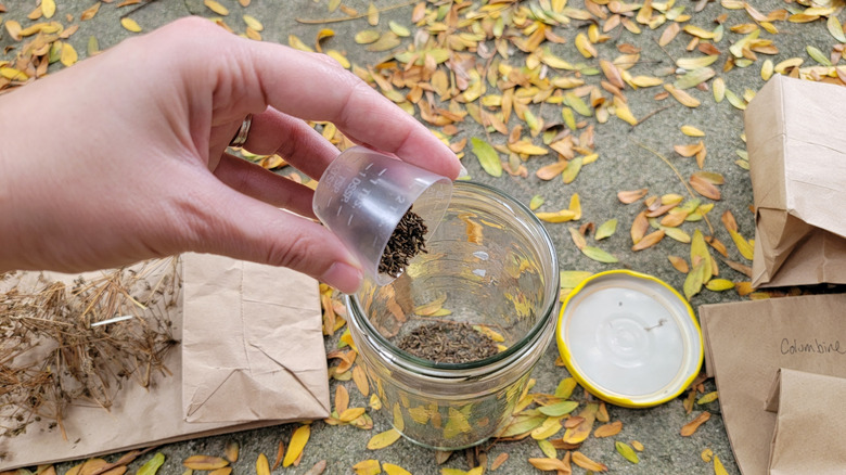 Person stores saved seeds in a glass jar