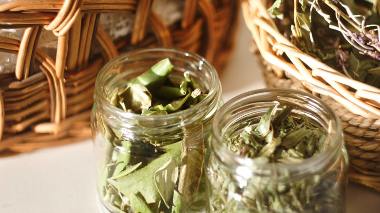Dried herbs in jars