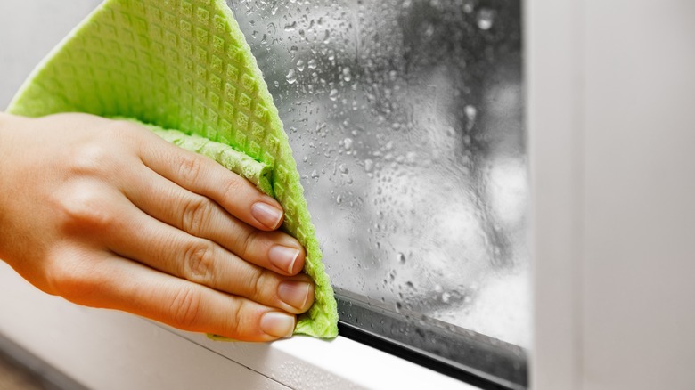 person wiping water on windows