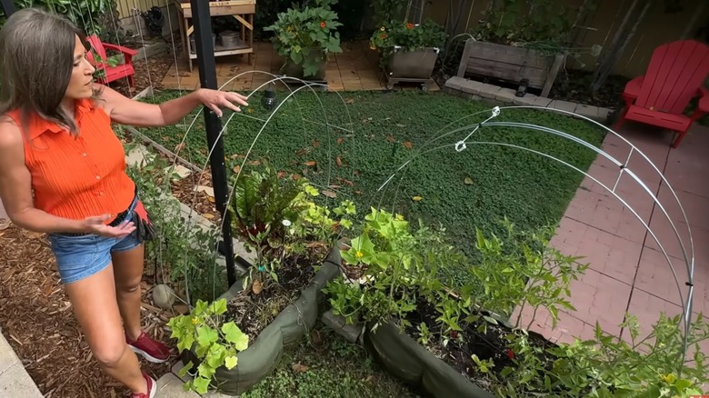 Woman in garden looking at two arched trellises made of ladder mesh.