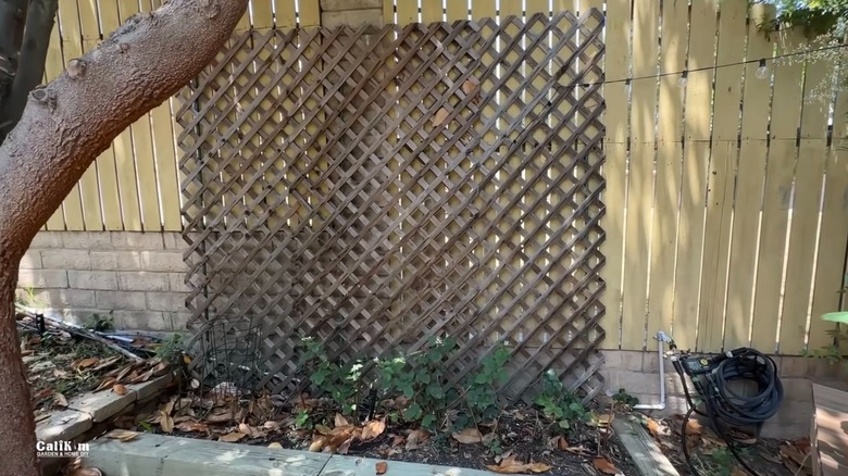 Lattice wall attached to a fence along a side garden.