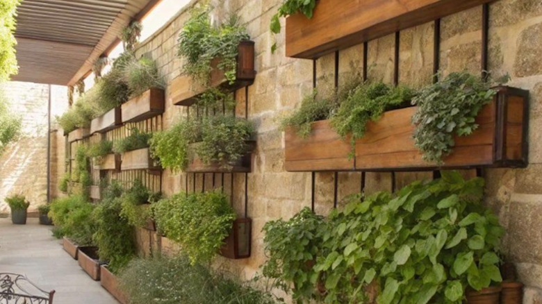 Planter boxes attached to a wall creating a vertical garden.