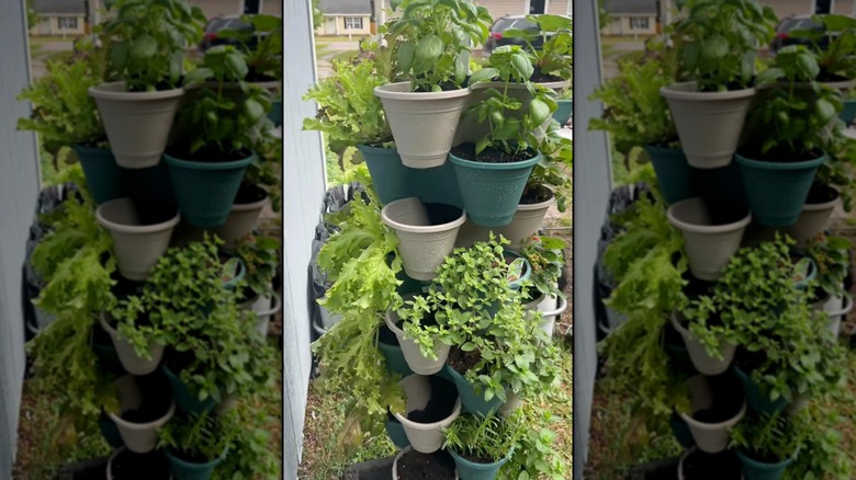 Stackable planter with herbs and plants growing in backyard garden.