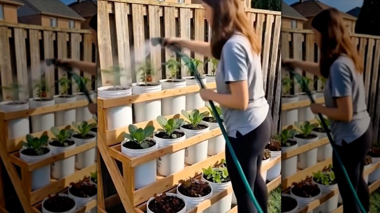 Woman watering plants in a tiered bucket garden.