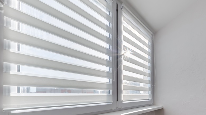 Modern double roller zebra blinds on large windows with sunlight streaming through.