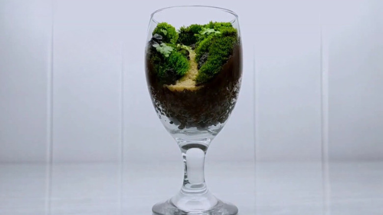 terrarium made from a wine glass